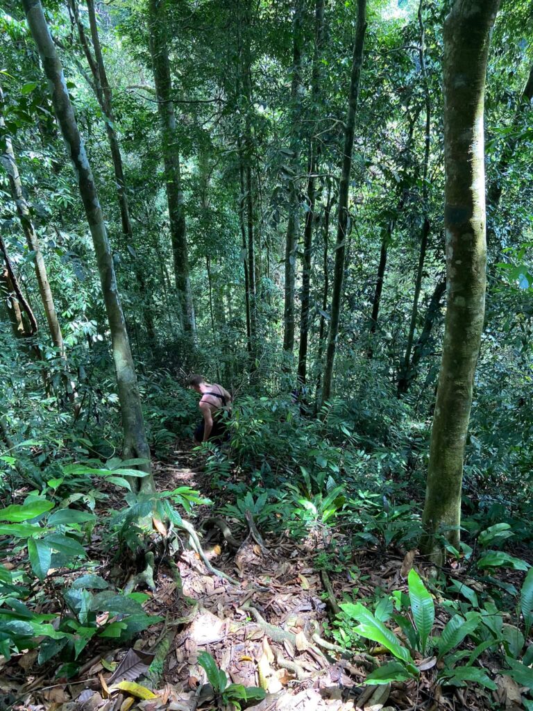 Klimmen in de jungle op Sumatra in Indonesië