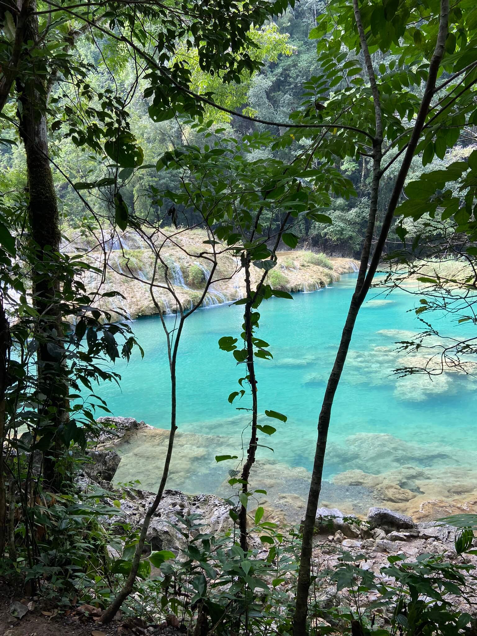 Kristalhelder water in Semuc Champey in Guatemala