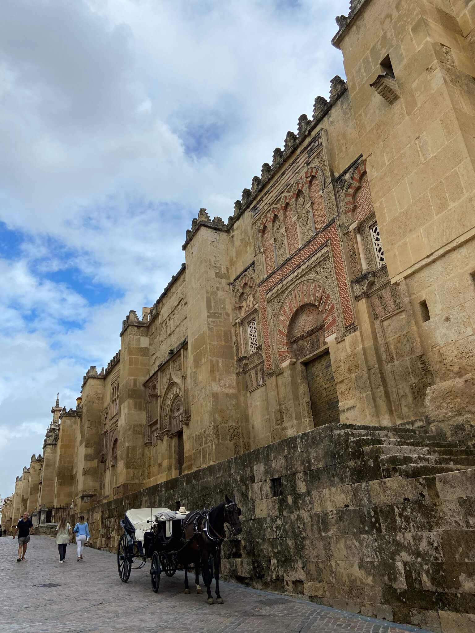 Paard en koets voor een historisch gebouw in Spanje