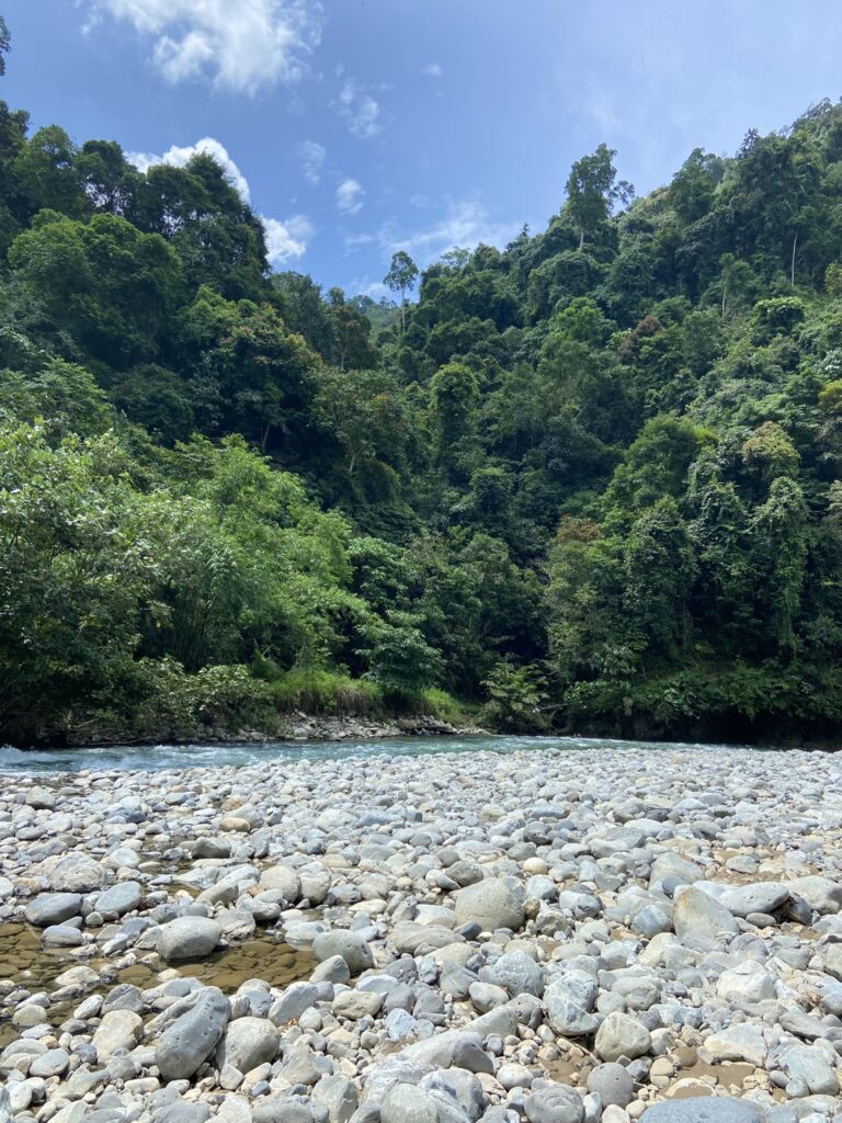 Paradijs orang-oetan tour tijdens mijn rondreis Sumatra
